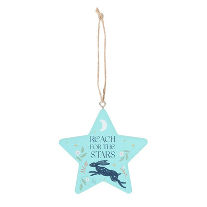 Reach for the Stars Hare Hanging Decoration