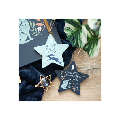 Reach for the Stars Hare Hanging Decoration