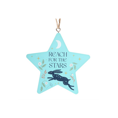 Reach for the Stars Hare Hanging Decoration